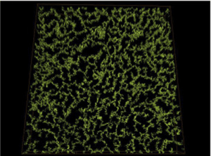 Izobrazhenie-almaznyh-nanochasticz-poluchennoe-s-pomoshhyu-krioelektronnoj-mikroskopii-300x222.png